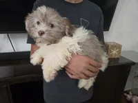 processed/0d69f46e-223c-441b-9748-1507550312ac/listing/a207b423-82ab-4273-8371-babda4d2fd39/6c13bcf3-6415-4595-8930-d75ce0196e69