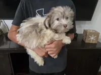 processed/0d69f46e-223c-441b-9748-1507550312ac/listing/a207b423-82ab-4273-8371-babda4d2fd39/82f13647-0702-4eee-a2f9-cc775eb1da4f