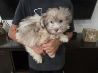 processed/0d69f46e-223c-441b-9748-1507550312ac/listing/a207b423-82ab-4273-8371-babda4d2fd39/bb66f812-b2d8-434d-b372-2740c194f376