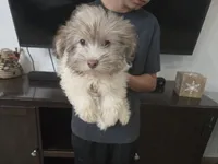 processed/0d69f46e-223c-441b-9748-1507550312ac/listing/a207b423-82ab-4273-8371-babda4d2fd39/c7eff711-d04e-492c-9044-aad825853647