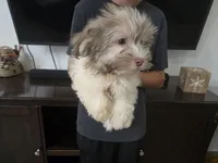 processed/0d69f46e-223c-441b-9748-1507550312ac/listing/a207b423-82ab-4273-8371-babda4d2fd39/c9e562c5-093f-4b8e-a633-93643137fdfb