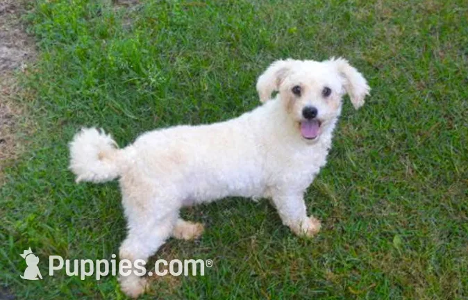 processed/0d69f46e-223c-441b-9748-1507550312ac/listing/a261bf6c-b0d0-4f25-afe2-99f2712c5173/0ac85cc1-216f-4a0f-8cae-7de769fb40e6