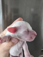 processed/0d69f46e-223c-441b-9748-1507550312ac/listing/a261bf6c-b0d0-4f25-afe2-99f2712c5173/4480f8d1-03b6-4b99-bce6-225858432c40