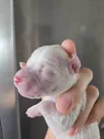 processed/0d69f46e-223c-441b-9748-1507550312ac/listing/a261bf6c-b0d0-4f25-afe2-99f2712c5173/6fb89644-f95e-4b1a-a4de-f3b0ba41172a