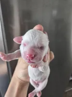 processed/0d69f46e-223c-441b-9748-1507550312ac/listing/a261bf6c-b0d0-4f25-afe2-99f2712c5173/d4df73c6-8718-436e-95ca-79d8139c3a88