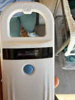 AKC Kai , a male Cavalier King Charles Spaniel for sale in Casa Grande, AZ – Photo 8 of 8