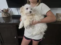 processed/0d69f46e-223c-441b-9748-1507550312ac/listing/ab2cd149-b0b9-4915-8198-6c71e12cbd05/11d86c17-dfd6-4e73-b6e2-564ed84fa2df