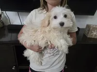 processed/0d69f46e-223c-441b-9748-1507550312ac/listing/ab2cd149-b0b9-4915-8198-6c71e12cbd05/1dd55d9f-1c1e-4530-a428-cd1126ffbeb9