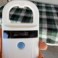 AKC Scott - Ready Now!, a male Havanese for sale in Casa Grande, AZ – Photo 6 of 6