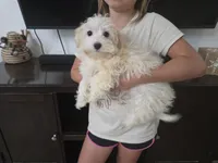 processed/0d69f46e-223c-441b-9748-1507550312ac/listing/ab2cd149-b0b9-4915-8198-6c71e12cbd05/7279a501-b64a-4ad4-a8c9-eed7db734309