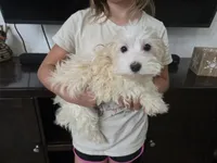 processed/0d69f46e-223c-441b-9748-1507550312ac/listing/ab2cd149-b0b9-4915-8198-6c71e12cbd05/83f5fd9f-169a-43ab-95c0-6a2e16ca3d20