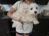 processed/0d69f46e-223c-441b-9748-1507550312ac/listing/ab2cd149-b0b9-4915-8198-6c71e12cbd05/85222d2b-f1b2-4dcc-b2dd-ab6683ebeb3d