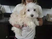 processed/0d69f46e-223c-441b-9748-1507550312ac/listing/ab2cd149-b0b9-4915-8198-6c71e12cbd05/8aa06505-7bf8-4fe0-9911-fe4ae3a40a4a