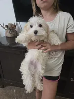 processed/0d69f46e-223c-441b-9748-1507550312ac/listing/ab2cd149-b0b9-4915-8198-6c71e12cbd05/b225d5bf-6072-462c-84fa-afb06c6e74e4