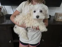 processed/0d69f46e-223c-441b-9748-1507550312ac/listing/ab2cd149-b0b9-4915-8198-6c71e12cbd05/cc978310-556a-4f9f-a7c7-e3f1db176bf3