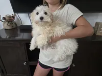 processed/0d69f46e-223c-441b-9748-1507550312ac/listing/ab2cd149-b0b9-4915-8198-6c71e12cbd05/eae96233-73de-4795-bfa3-9a70e5bf50fc