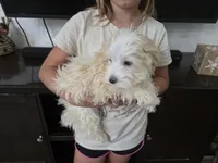 processed/0d69f46e-223c-441b-9748-1507550312ac/listing/ab2cd149-b0b9-4915-8198-6c71e12cbd05/f11148d2-9606-4825-b879-e7ebd1bbcf6b