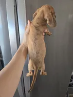 processed/0d69f46e-223c-441b-9748-1507550312ac/listing/e1a7b0df-a66e-4993-b761-c09974f0f032/77d14c29-7add-4440-a26a-fea900cb09ee