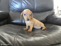 processed/0d69f46e-223c-441b-9748-1507550312ac/listing/e1a7b0df-a66e-4993-b761-c09974f0f032/8dbb635a-12e7-40fb-88b8-4ee676b73729