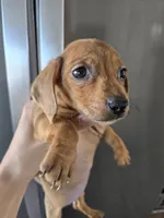 processed/0d69f46e-223c-441b-9748-1507550312ac/listing/e1a7b0df-a66e-4993-b761-c09974f0f032/8e5c4389-cc79-4a3d-b7c2-b3961548599e