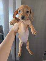 processed/0d69f46e-223c-441b-9748-1507550312ac/listing/e1a7b0df-a66e-4993-b761-c09974f0f032/9def44fa-b6bd-4c04-b310-fb6bf25f491b