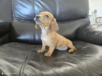 processed/0d69f46e-223c-441b-9748-1507550312ac/listing/e1a7b0df-a66e-4993-b761-c09974f0f032/c7aa6cae-f535-41b9-88ed-e319748cd37b