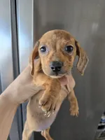 processed/0d69f46e-223c-441b-9748-1507550312ac/listing/e1a7b0df-a66e-4993-b761-c09974f0f032/cccbfb7e-3b8b-4cae-8a89-64063445a7ae