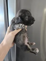 processed/0d69f46e-223c-441b-9748-1507550312ac/listing/e2cb7b75-5234-4057-9809-92a2cd6086b0/00017863-b3bc-4802-8c81-0d69a6b9b3c4