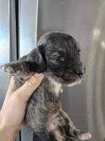 processed/0d69f46e-223c-441b-9748-1507550312ac/listing/e2cb7b75-5234-4057-9809-92a2cd6086b0/0ead03dd-85e5-4dc1-a3b7-0f9fa8229a2f