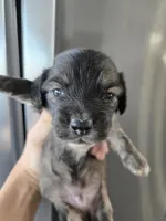 processed/0d69f46e-223c-441b-9748-1507550312ac/listing/e2cb7b75-5234-4057-9809-92a2cd6086b0/77552ede-7b72-4f6e-b03b-a1b0e0e1c8e8