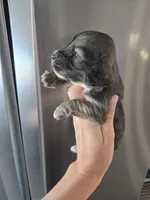 processed/0d69f46e-223c-441b-9748-1507550312ac/listing/e2cb7b75-5234-4057-9809-92a2cd6086b0/89560ca6-4f16-4482-a4f1-110e134cda60