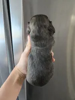 processed/0d69f46e-223c-441b-9748-1507550312ac/listing/e2cb7b75-5234-4057-9809-92a2cd6086b0/9ae3d78d-7eb2-45f1-9805-38e59666a0fc