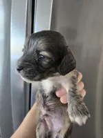 processed/0d69f46e-223c-441b-9748-1507550312ac/listing/e2cb7b75-5234-4057-9809-92a2cd6086b0/e1fc6d5a-4c04-4de7-9699-fbd168808784