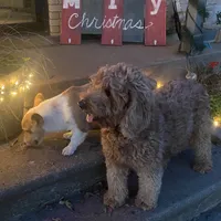 processed/0d73bd97-d2f5-4990-ab9c-56763db6bdd1/facility/6a4ea085-b544-4d2e-ad23-0cf3a8cf33df