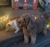 processed/0d73bd97-d2f5-4990-ab9c-56763db6bdd1/facility/6a4ea085-b544-4d2e-ad23-0cf3a8cf33df