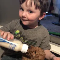 processed/0d73bd97-d2f5-4990-ab9c-56763db6bdd1/facility/826f1227-0824-455c-b193-d16b7c14d217