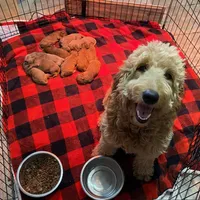 processed/0d73bd97-d2f5-4990-ab9c-56763db6bdd1/facility/99b2547c-a818-4f87-a8af-c6de0b4f67fa