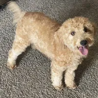 processed/0d73bd97-d2f5-4990-ab9c-56763db6bdd1/facility/b6bfceac-43e8-4aac-a5a9-949d30f2aad7