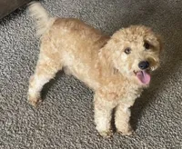 processed/0d73bd97-d2f5-4990-ab9c-56763db6bdd1/facility/b6bfceac-43e8-4aac-a5a9-949d30f2aad7