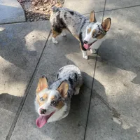 processed/0d73bd97-d2f5-4990-ab9c-56763db6bdd1/facility/ba6b58c5-18db-4962-93d3-7c557dc0f771