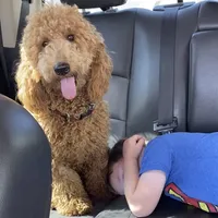 processed/0d73bd97-d2f5-4990-ab9c-56763db6bdd1/facility/bc4d7dd9-afe8-4450-af8c-e17cdc27419d