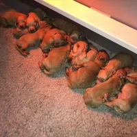 processed/0d73bd97-d2f5-4990-ab9c-56763db6bdd1/facility/d71d6bfe-1b54-44b7-9351-c02a309ef319