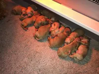 processed/0d73bd97-d2f5-4990-ab9c-56763db6bdd1/facility/d71d6bfe-1b54-44b7-9351-c02a309ef319