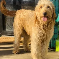 processed/0d73bd97-d2f5-4990-ab9c-56763db6bdd1/facility/d7fdfb55-38c8-4691-94c0-476ee60a0280