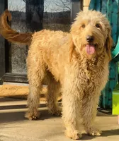 processed/0d73bd97-d2f5-4990-ab9c-56763db6bdd1/facility/d7fdfb55-38c8-4691-94c0-476ee60a0280