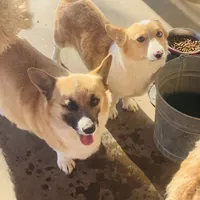 processed/0d73bd97-d2f5-4990-ab9c-56763db6bdd1/facility/ddbf8909-d207-4378-994a-0fb4333184cb