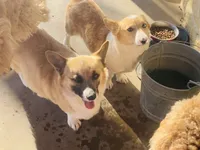 processed/0d73bd97-d2f5-4990-ab9c-56763db6bdd1/facility/ddbf8909-d207-4378-994a-0fb4333184cb