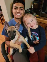 Butters, a male Belgian Malinois for sale in Springfield, MO – Photo 2 of 3