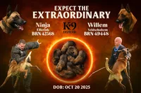 processed/0d7a0732-35ed-4395-aa80-be8be27ddbf7/listing/a62b5918-7030-4e7d-bd85-0c5b3ed395b2/13c0ed23-5ede-4ae0-9b7f-7e4ba8627d2a