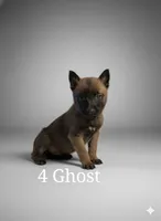 processed/0d7a0732-35ed-4395-aa80-be8be27ddbf7/listing/a62b5918-7030-4e7d-bd85-0c5b3ed395b2/3c7f5017-cb24-45bb-94b6-d9b0237a4de8